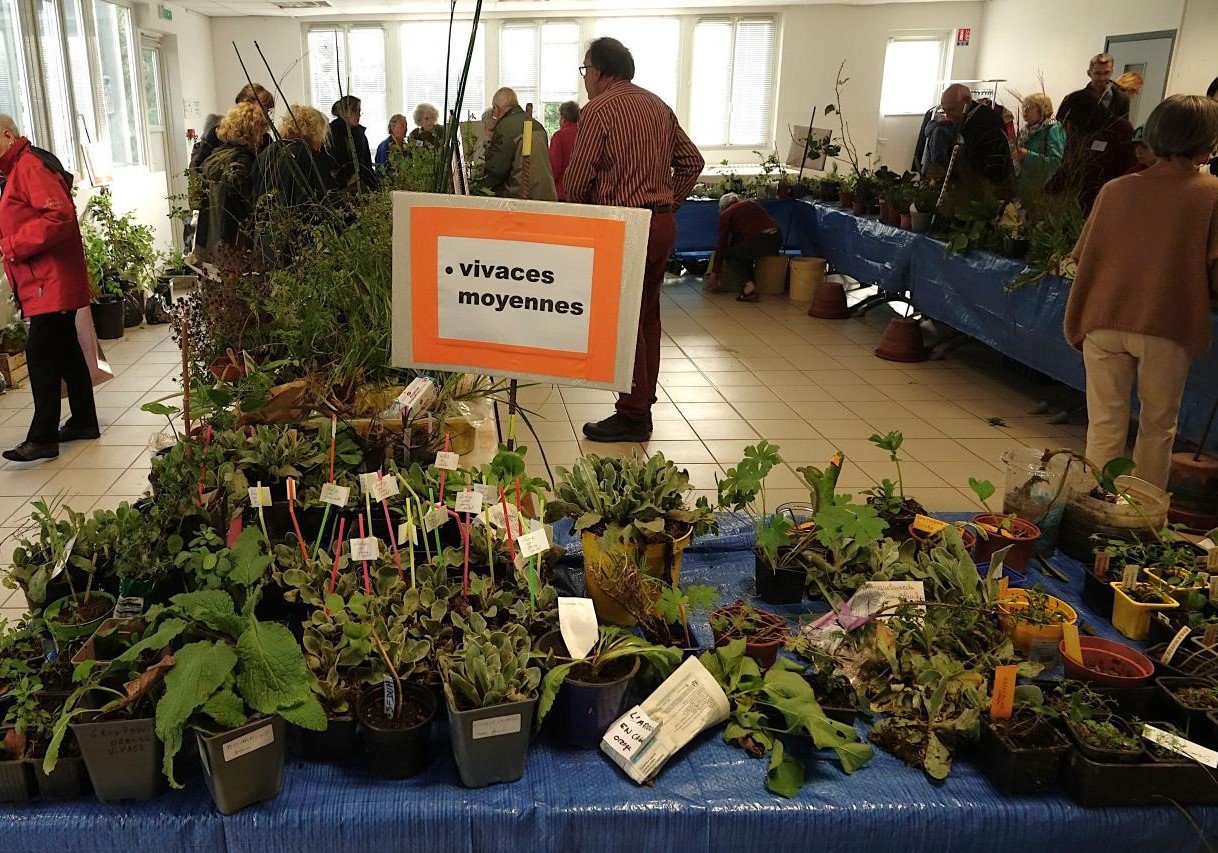 Bourse-2023-interieur 04692.JPG