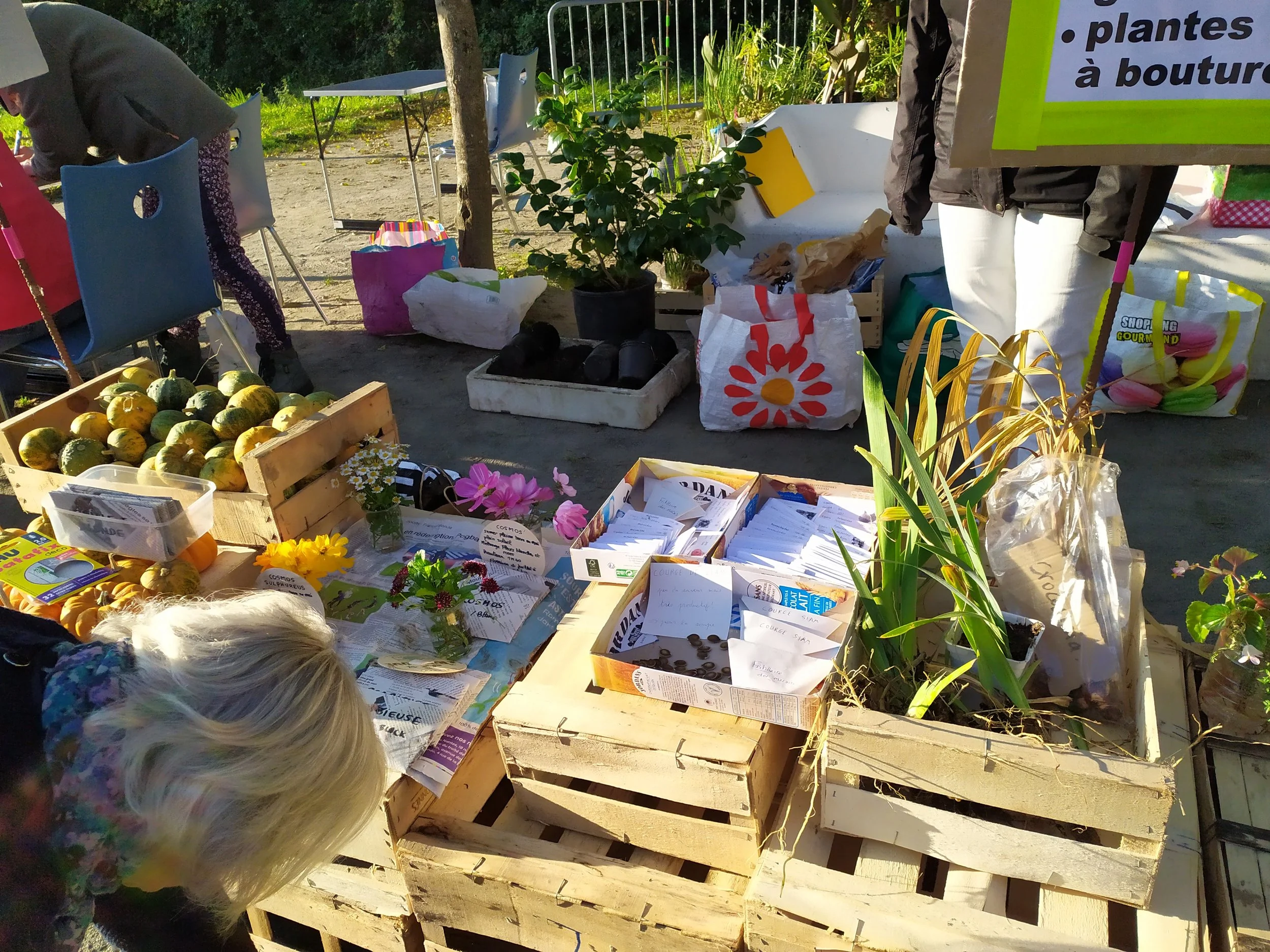 Ext_20211016_100017.jpg