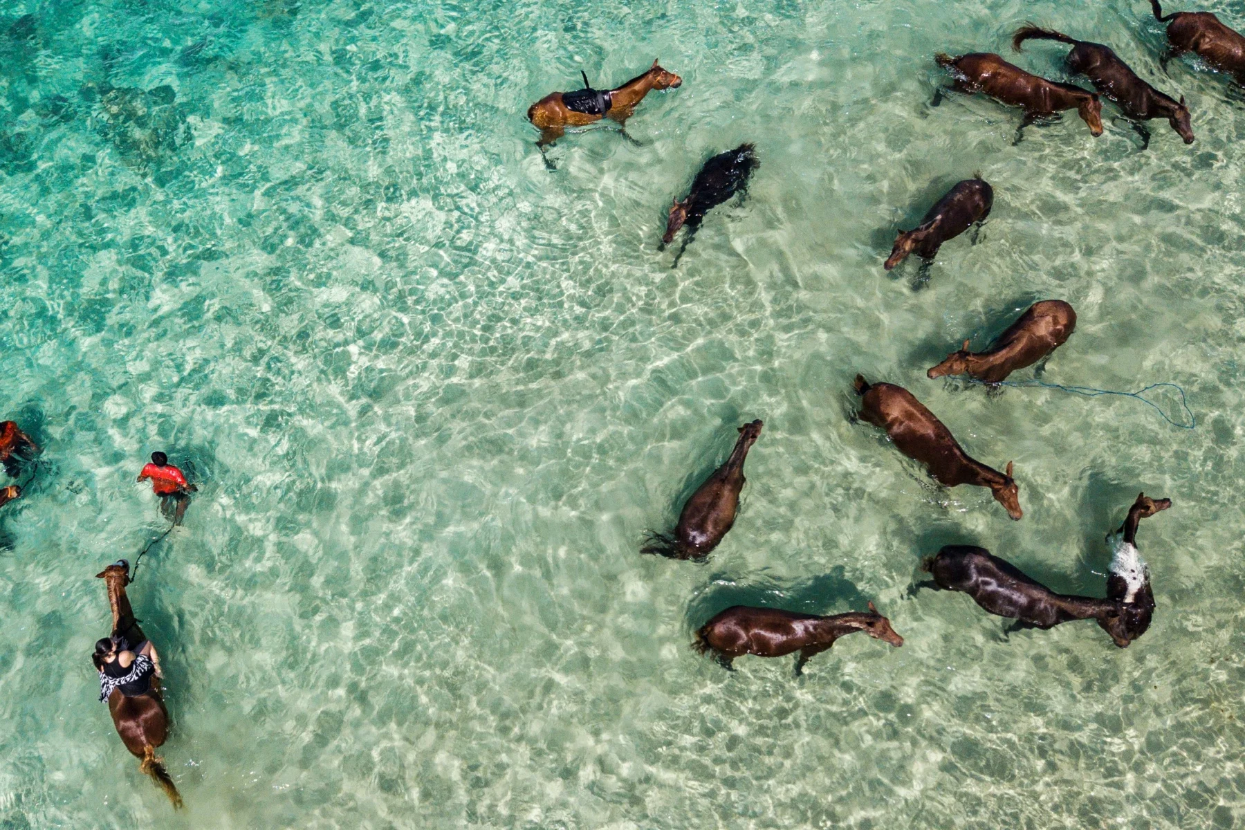 Three Eco-Resorts Are Introducing Visitors to Indonesia’s Overlooked Island  ||  AFAR