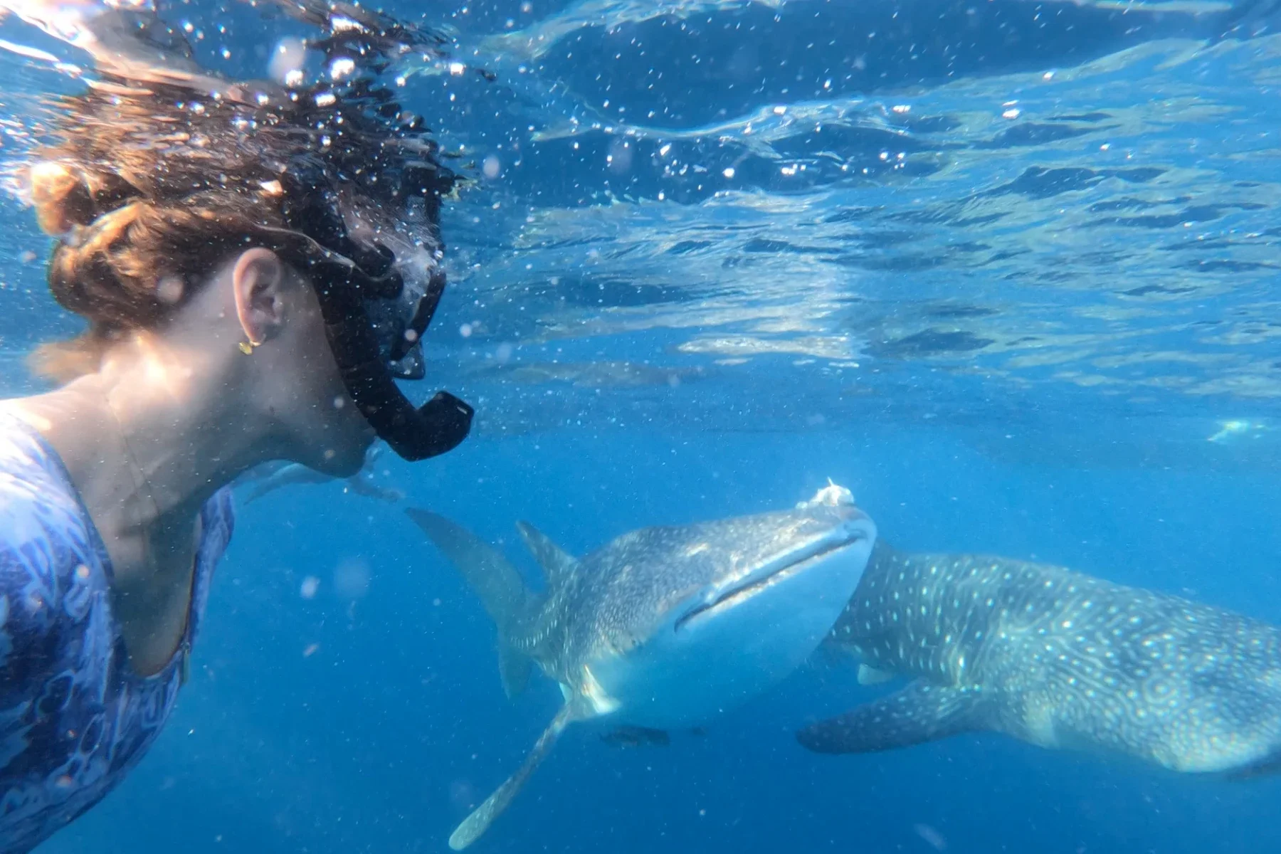 Exploring Indonesia’s Remote Islands on a 12-Person Luxury Sailing Yacht  ||  AFAR