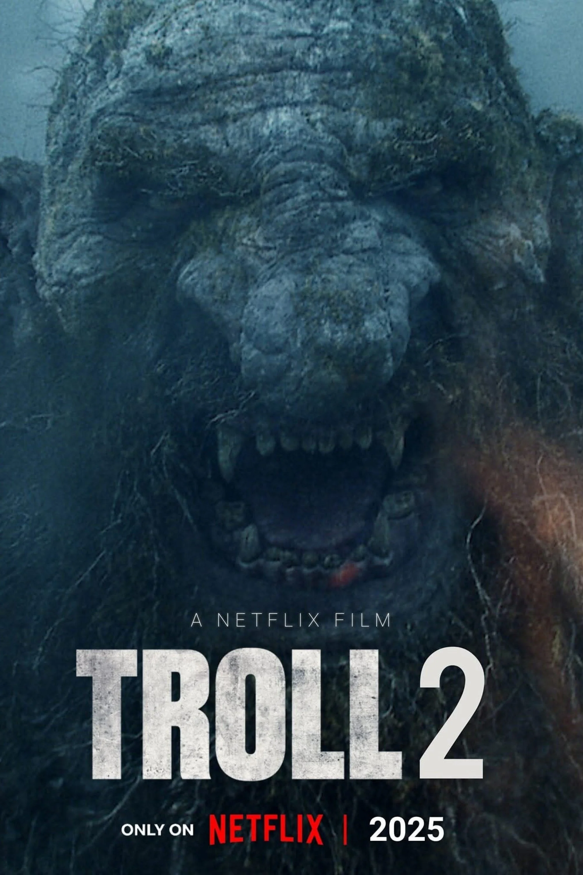 Movie poster for 'Troll 2' featuring a large, roaring troll with greyish skin, sharp teeth, and textured features, set against a dark, moody background. The poster indicates that the film is to be released on Netflix in 2025.