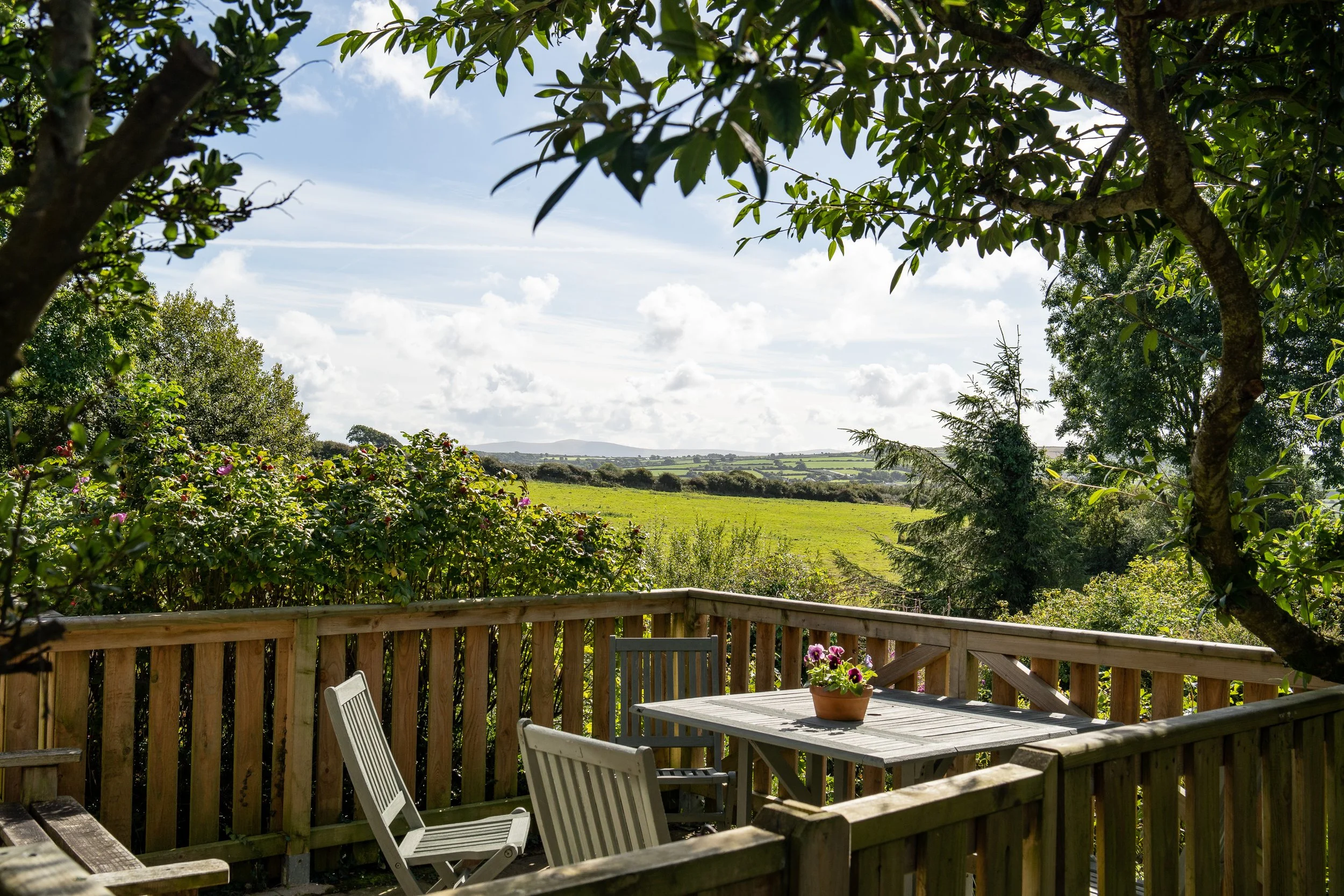 B Yr Ydlan terrace copy 2.jpeg