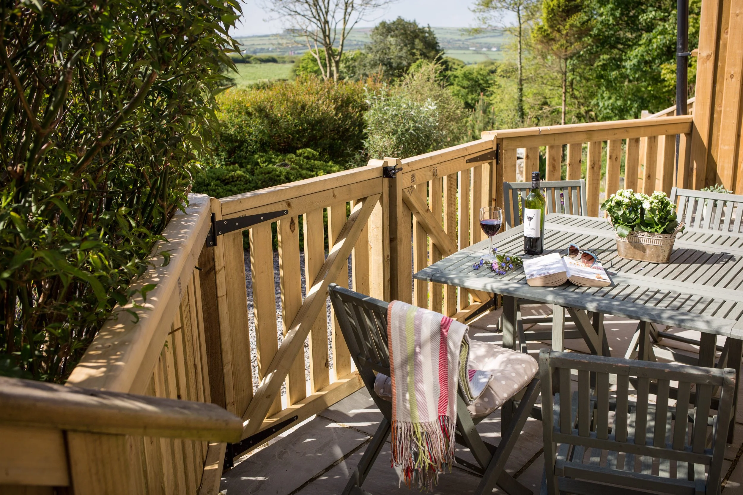 B Ger y Llyn terrace  copy.jpeg