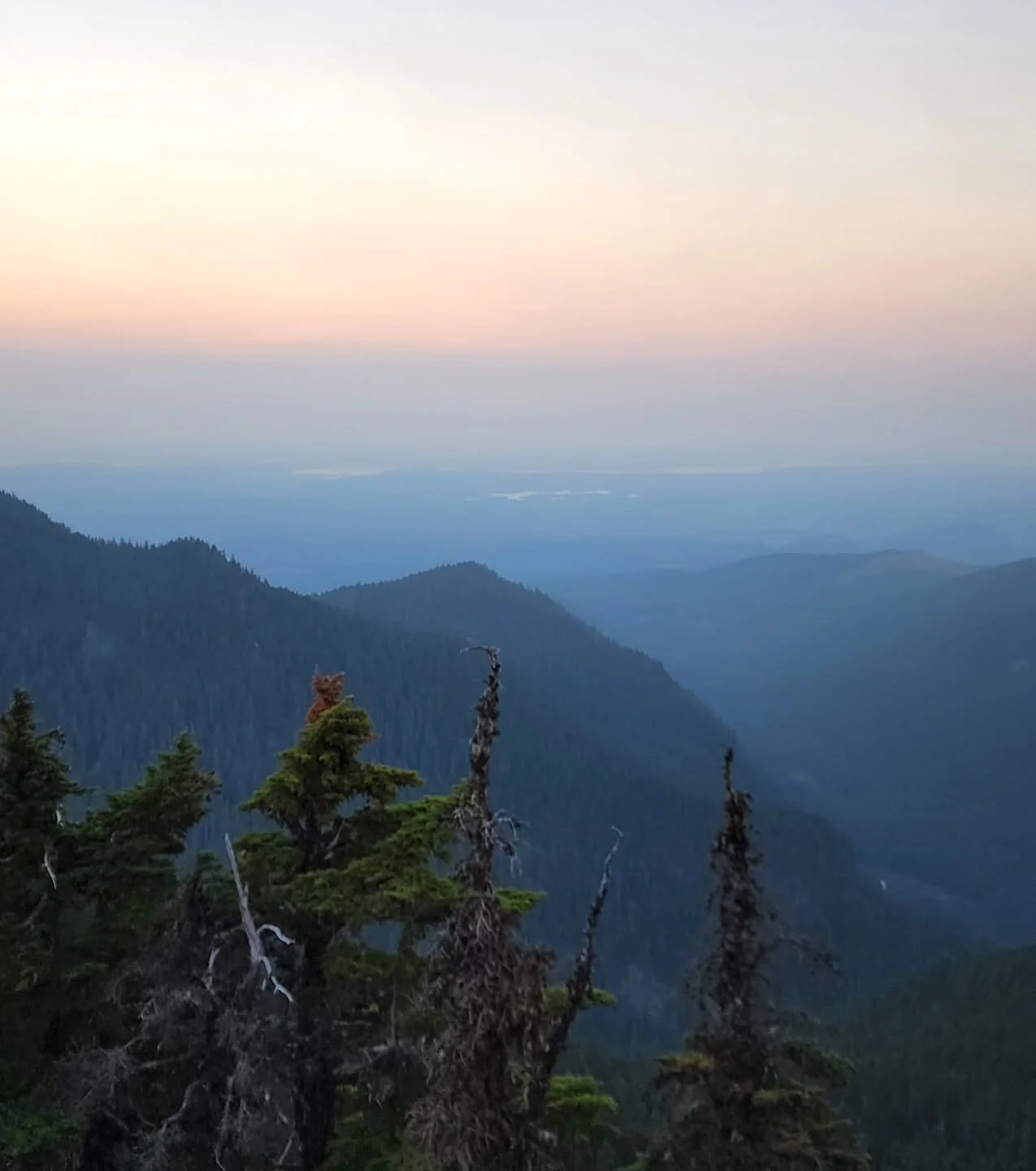 The softer side of nature's coloring