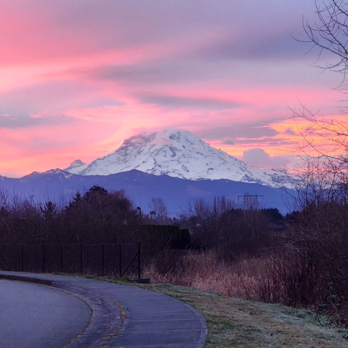 Nature Creates in Color Harmony 🩷 I Love this mountain view on my morning walks!
