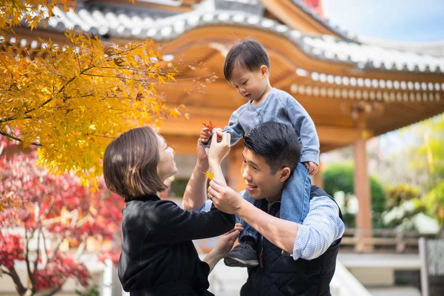 Tokyo Family Photographer: Autumn in Shiba Koen and Zojoji Temple