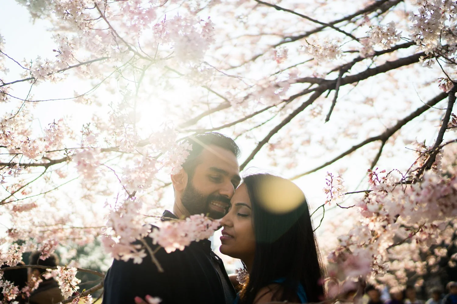 Tokyo Vacation Photographer: Cherry Blossom Anniversary at Shinjuku Gyoen