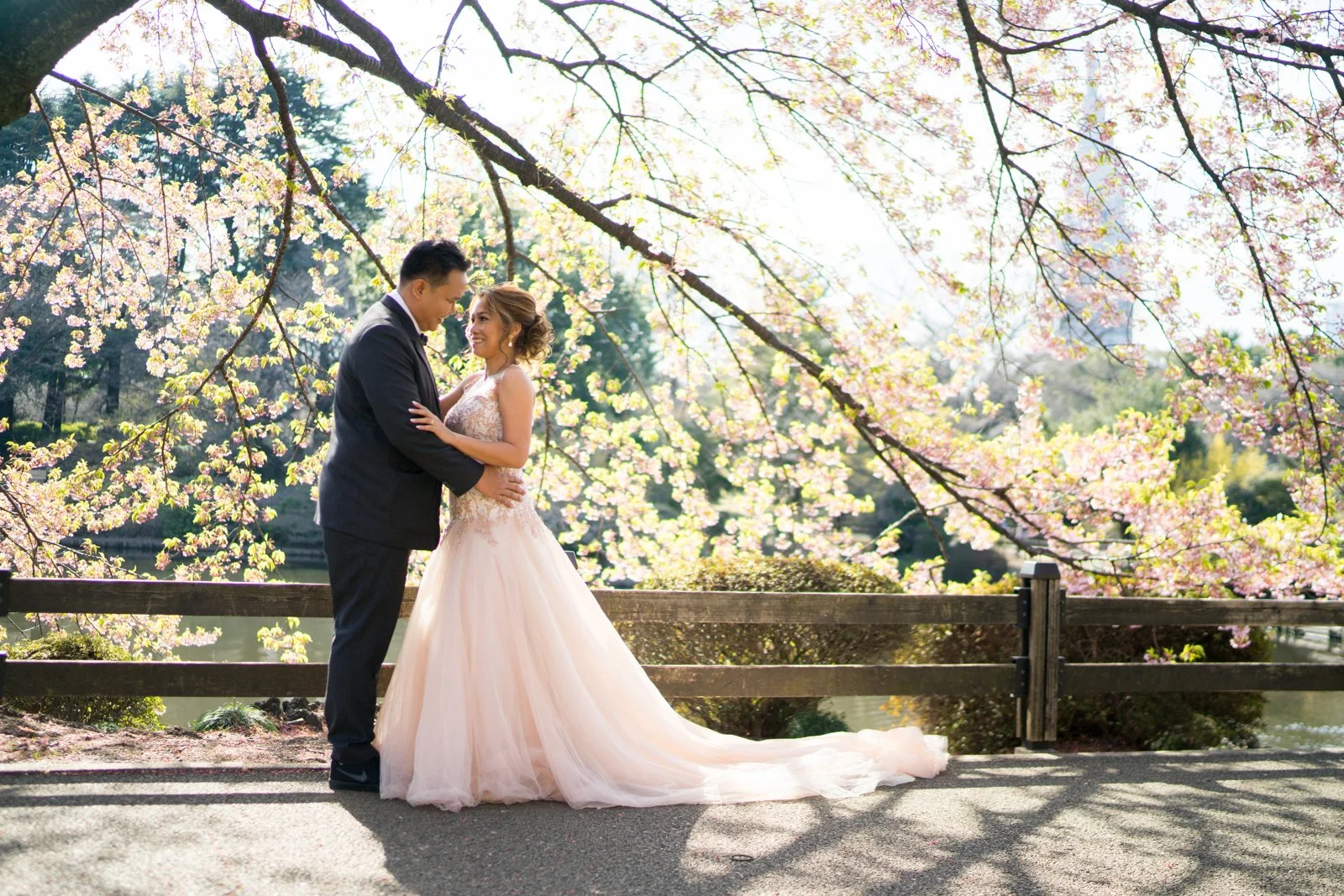Tokyo Wedding Photographer: A Cherry Blossom Anniversary at Shinjuku Gyoen