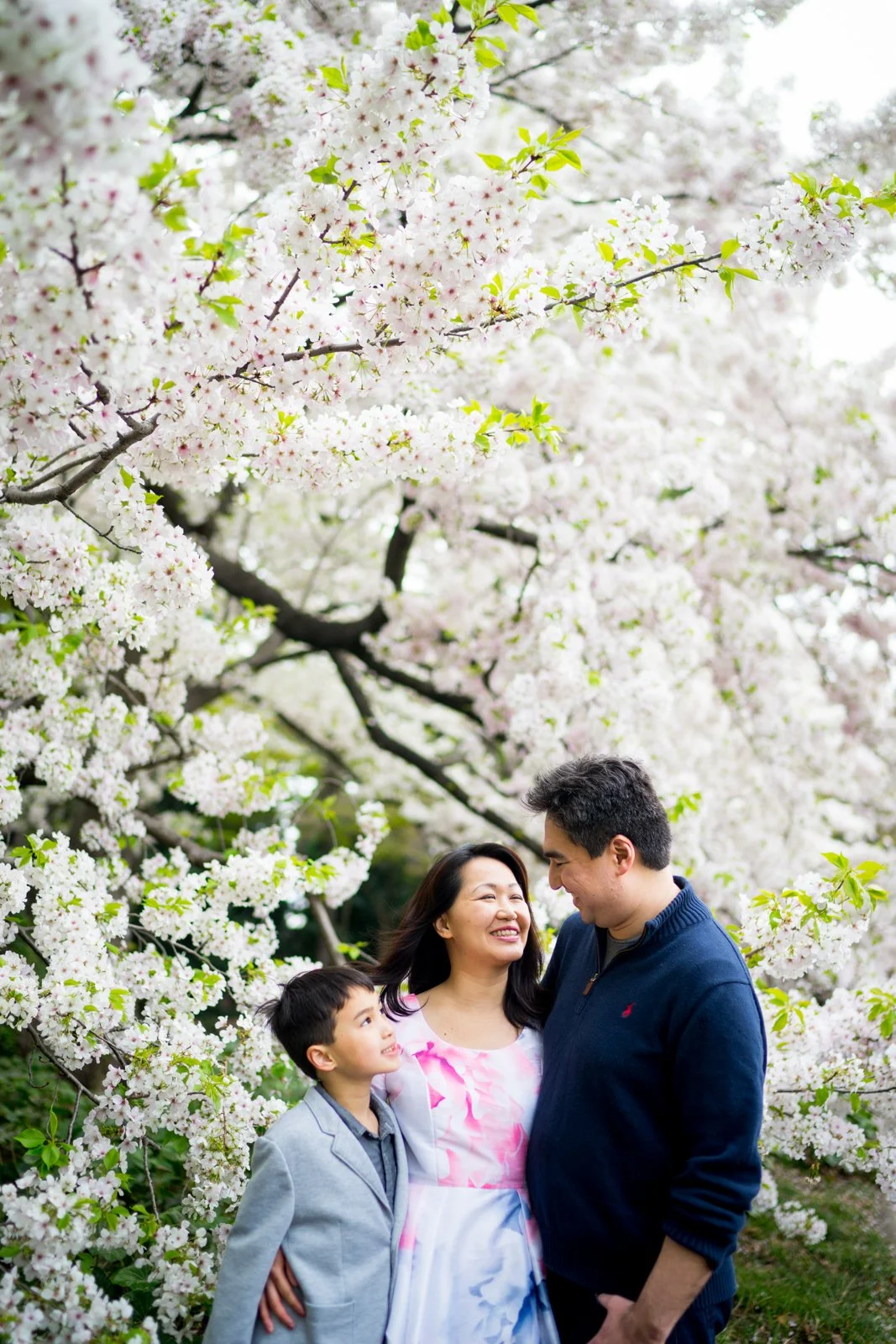 Tokyo Family Photographer: Full Bloom at Chidorigafuchi