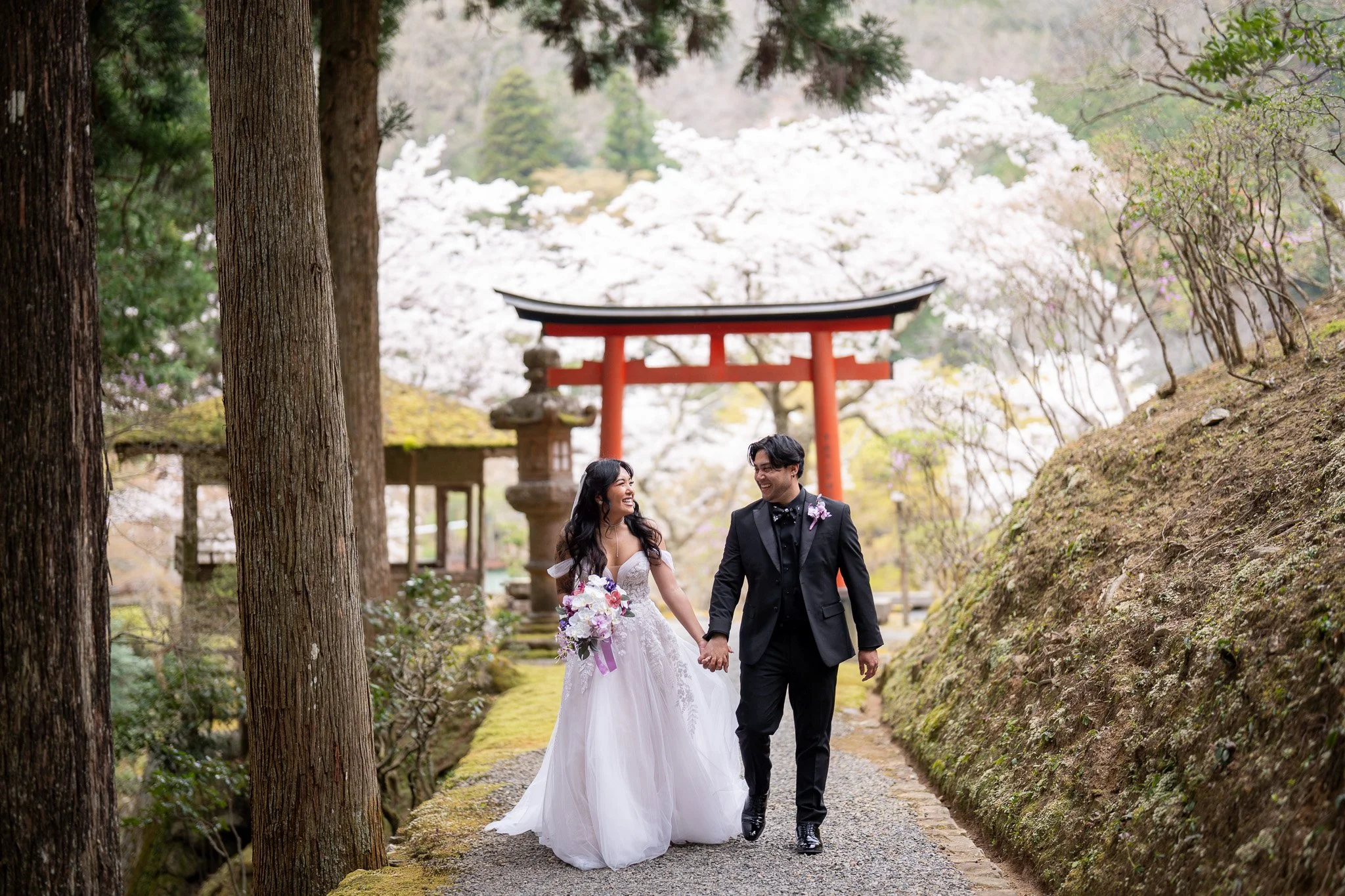 A newly married couple in wedding attire walking hand in hand through a park with cherry blossoms in full bloom, traditional Japanese torii gate in the background.