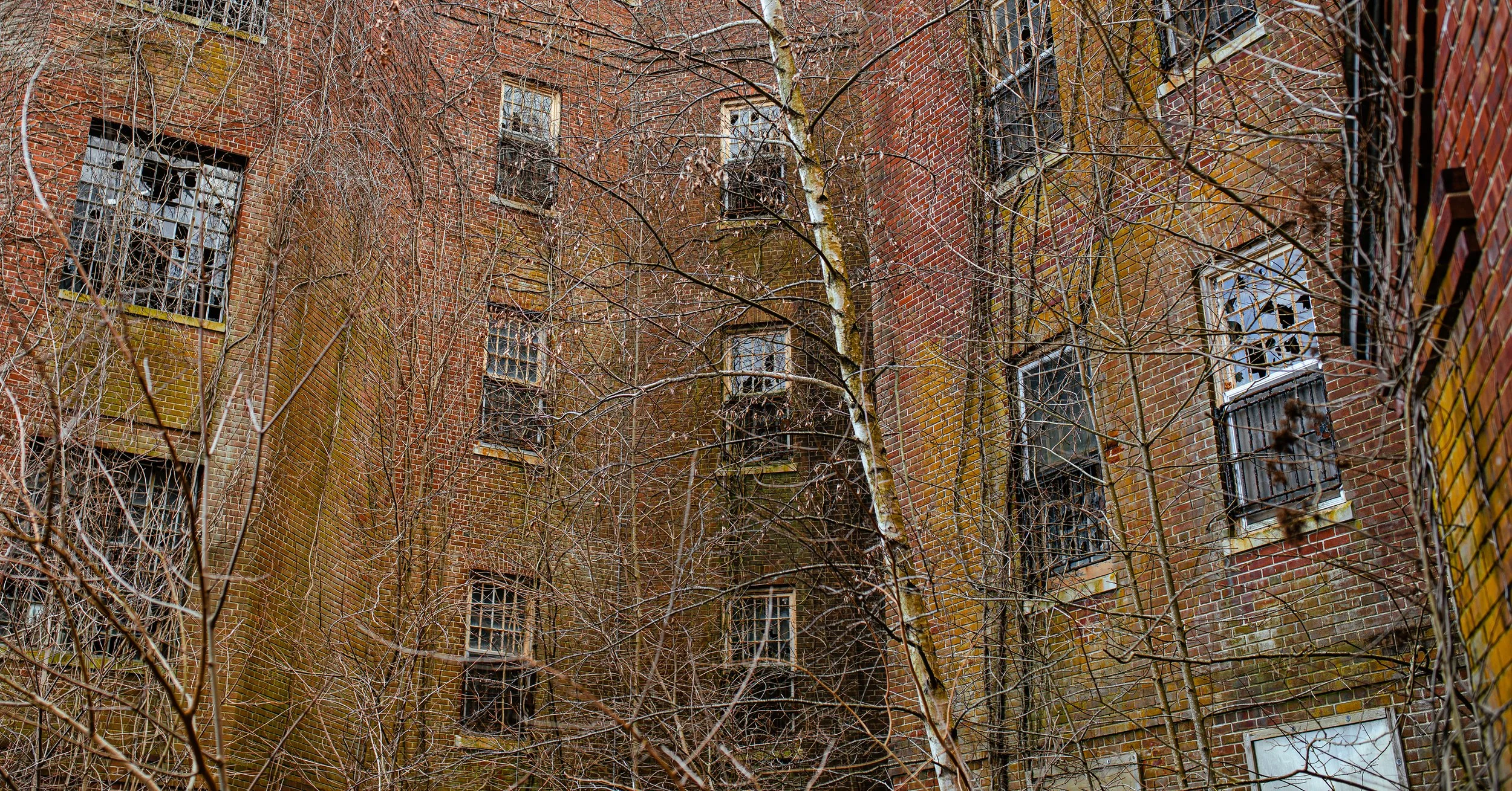 051A8248_Resize.jpg