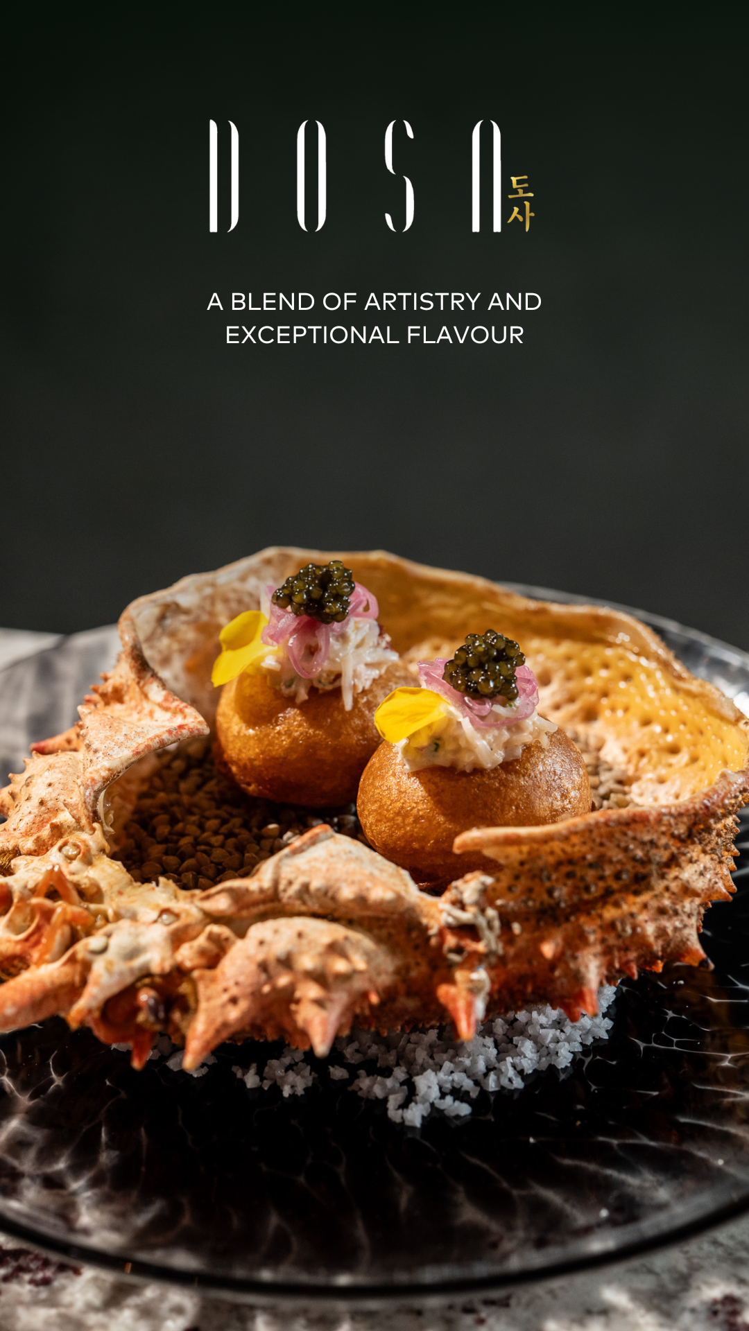 DOSA SEPTEMBER STORIES.png