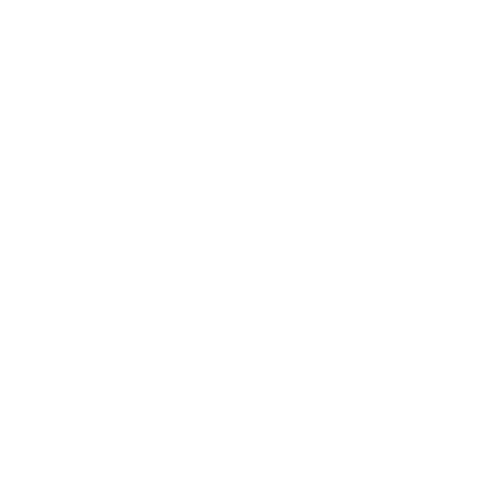TruNorth (1).png