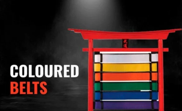 Solid Coloured Belts