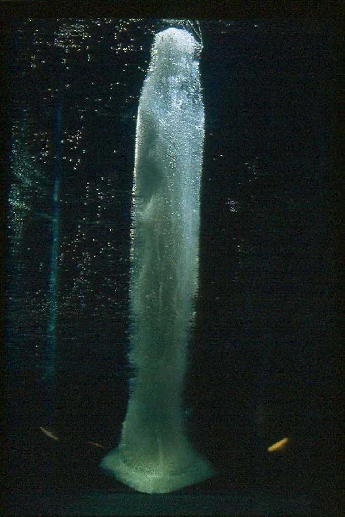 “In Memoriam”
Impresión backlight en caja de luz
73x110 cm
2001