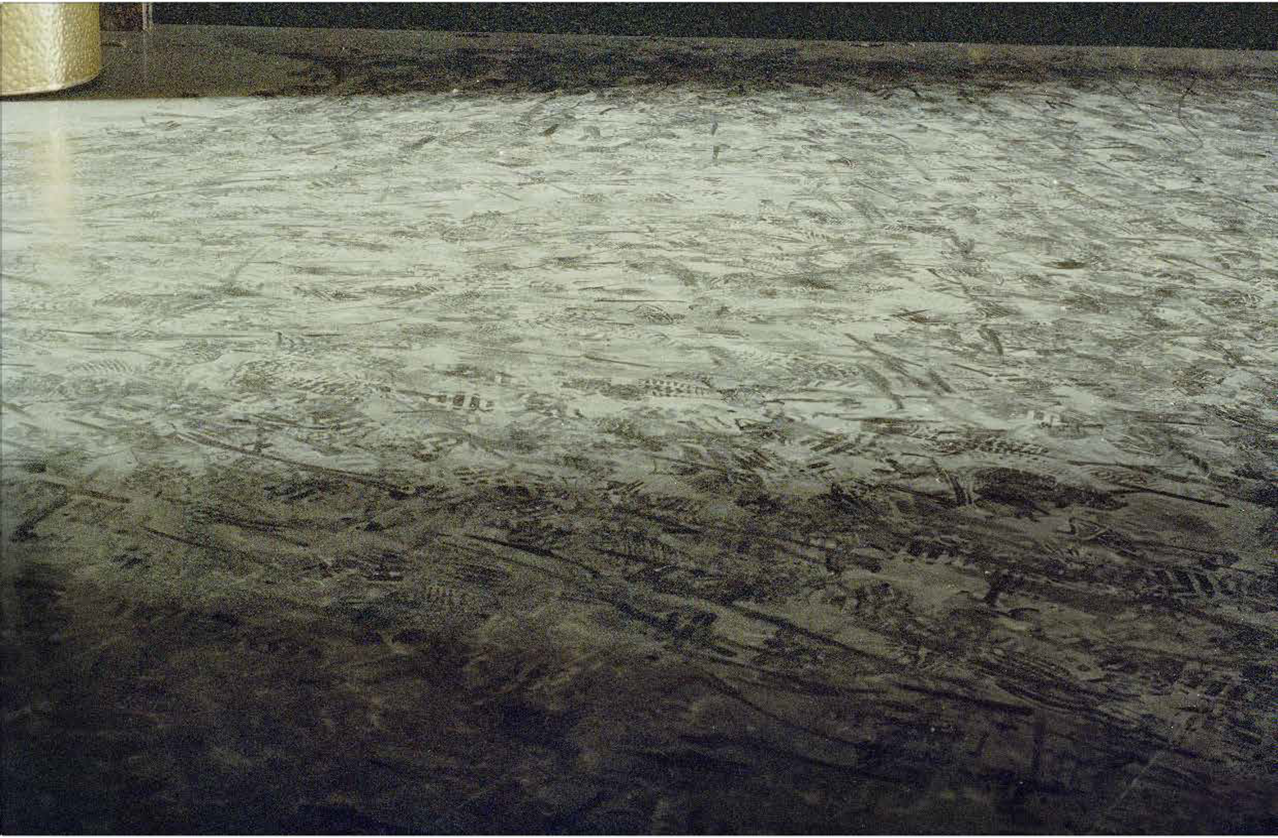 Desde adentro, 2003