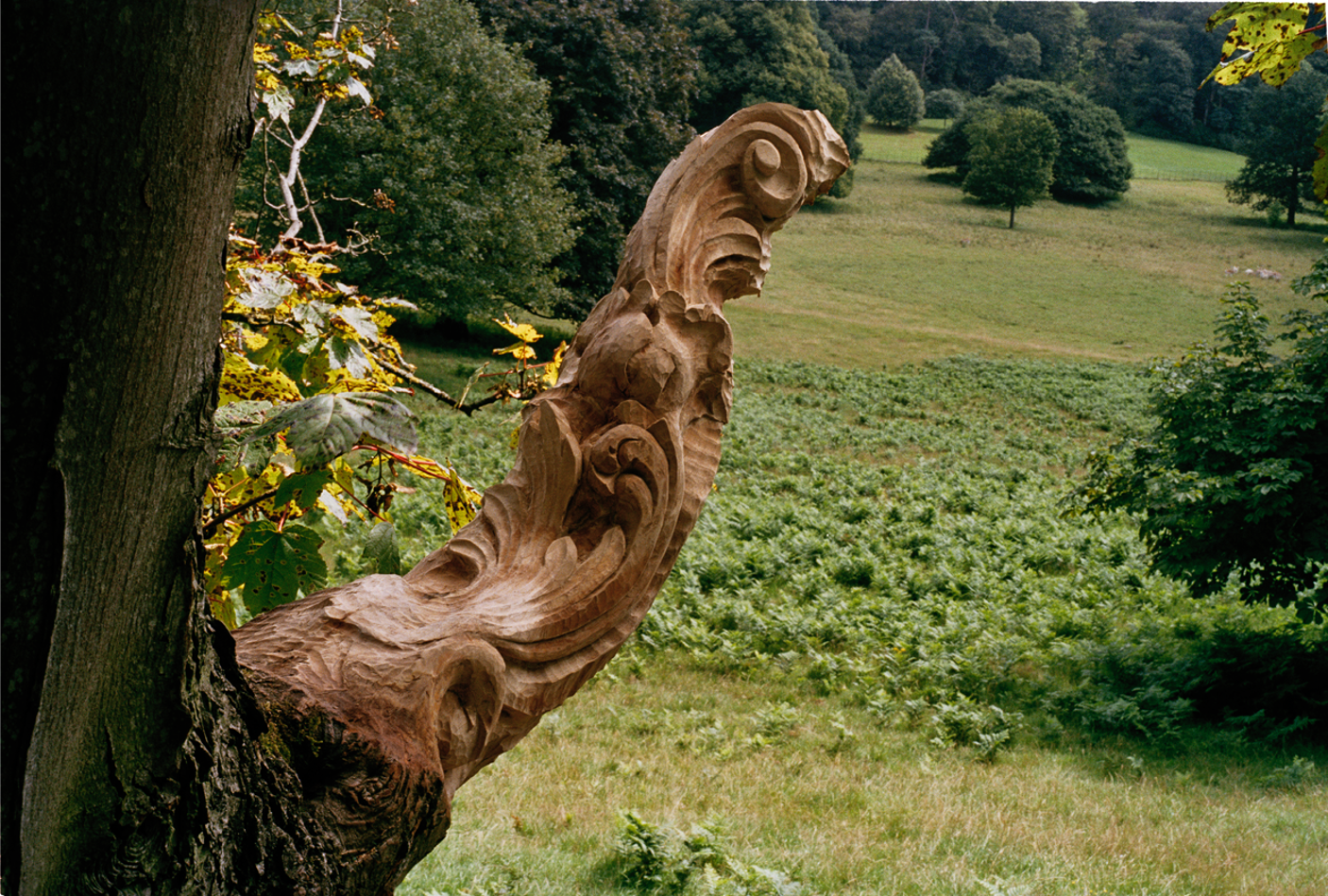 “Nuevas Floras Bristol”
Ashton Court State- Bristol, UK.
Impresión digital giclée sobre papel de algodón, 80x120 cm
2004
