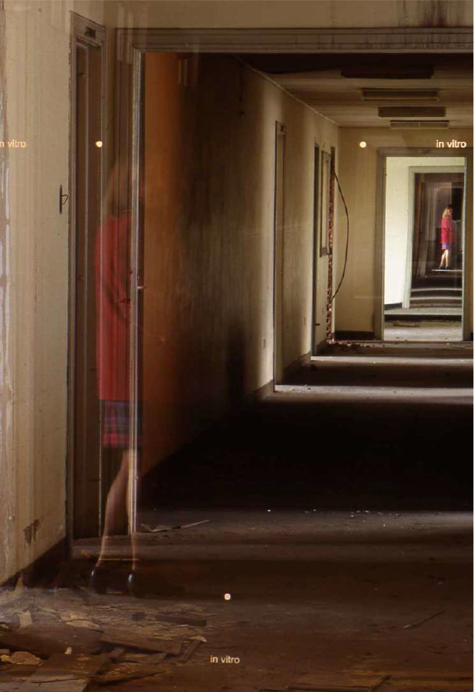 “In vitro”

Imagen de la instalación VIII Salón Regional de Artistas, Estación de la Sabana.
 
Impresión cromogénica, 40x27 cm.

Bogotá,  1997