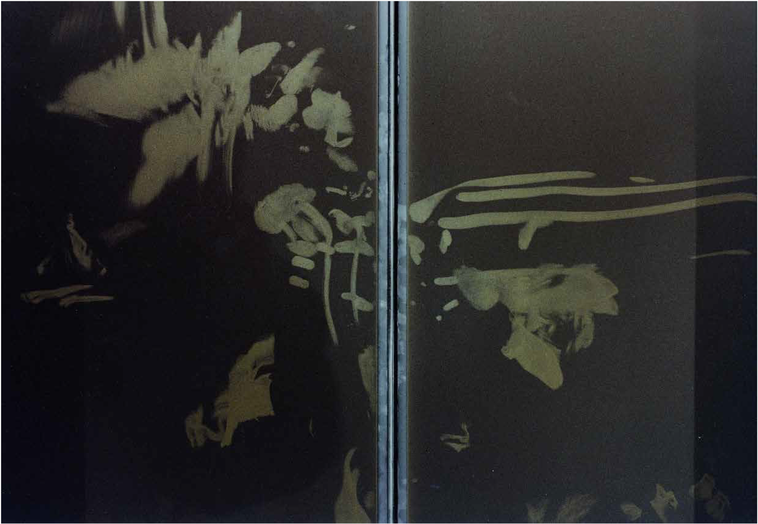 “Desde  adentro”
Impresión digital giclée  66x100 cm
2003

