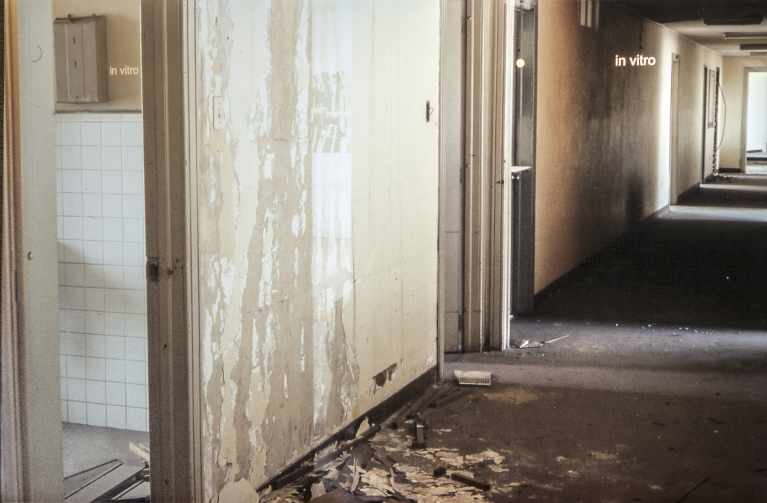 “In vitro”

Instalación en la Estación de tren de la Sabana,  VIII Salón Regional de Artistas, Bogotá
Impresión cromogénica en caja de luz.

130x160x15 cm.

1997

Fotografía por Clemencia Poveda