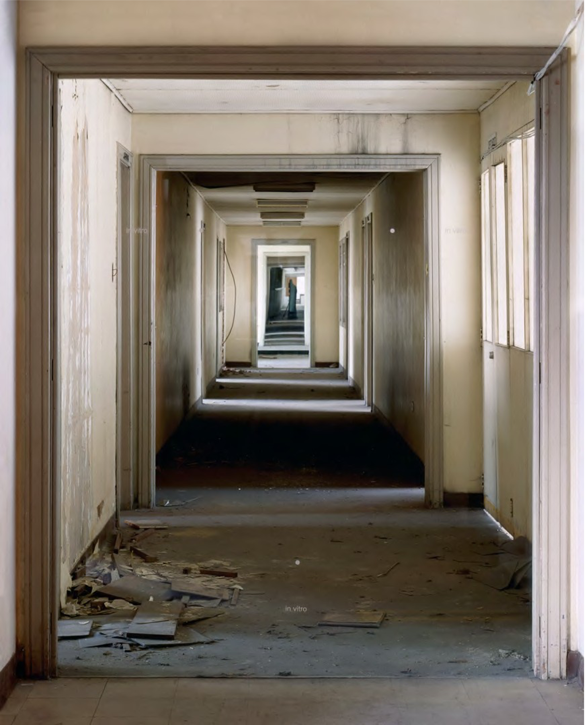 “In vitro”

Instalación en la Estación de tren de la Sabana,  VIII Salón Regional de Artistas, Bogotá
Impresión cromogénica en caja de luz.

130x160x15 cm.

1997