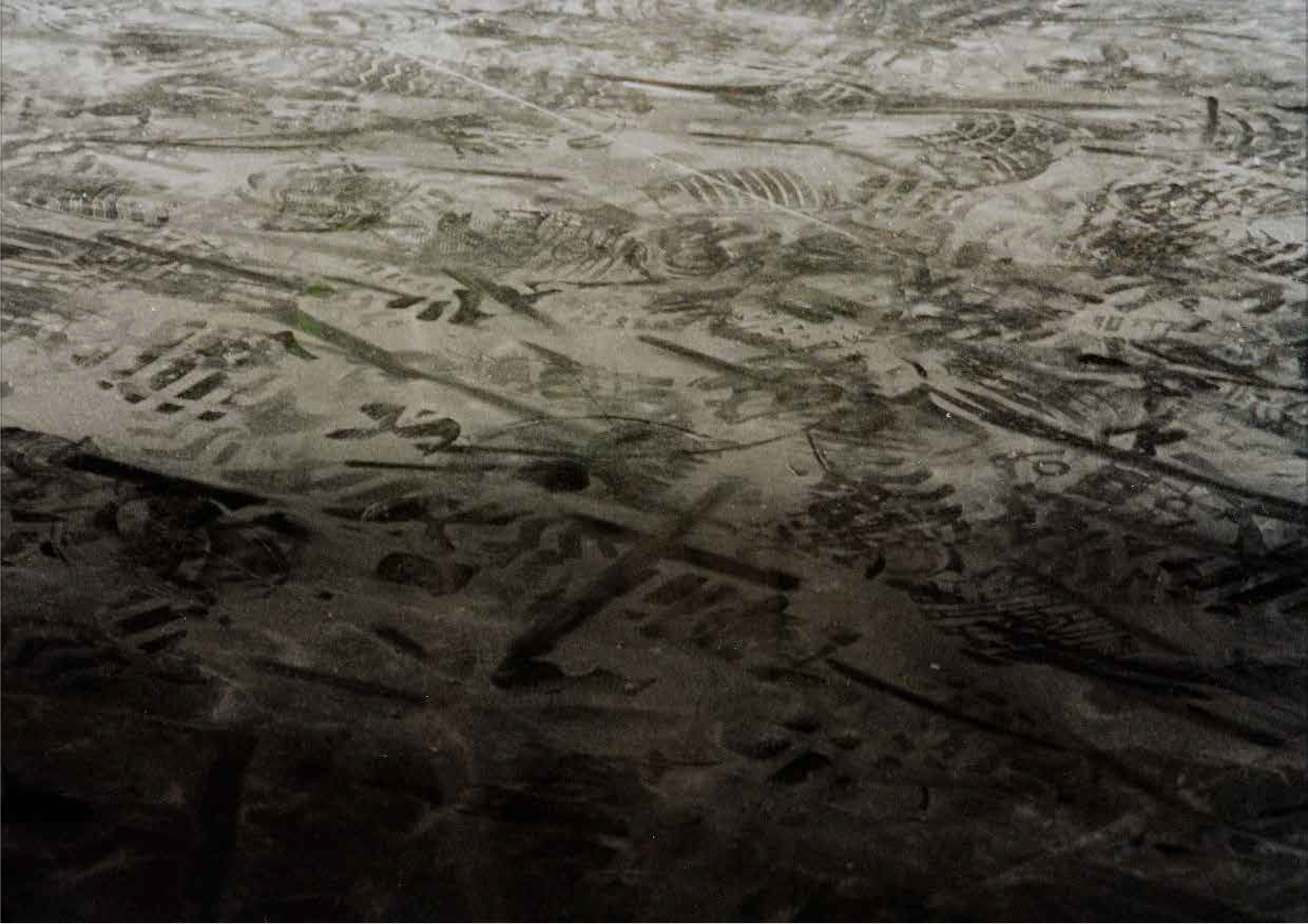 “Desde  adentro”
Impresión digital giclée  66x100 cm
2003
