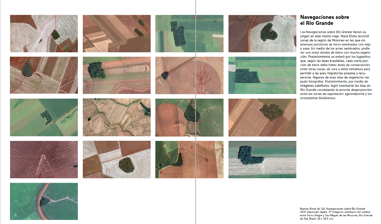 “Nuevas Floras do Sul”
Navegaciones sobre Río Grande - edición
Fotografía Satelital, impresión digital giclée sobre papel de algodón,  140x240  (20 x 40 cm c/u)
2017
