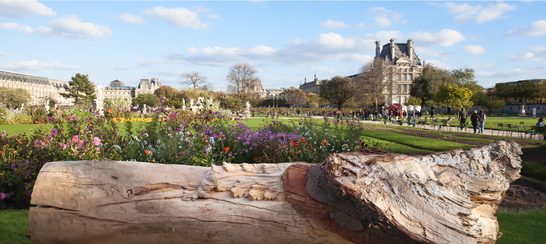 “Nuevas Floras Versalles”
Exhibición en el Jardín de Tullerias, París, FIAC
2017
