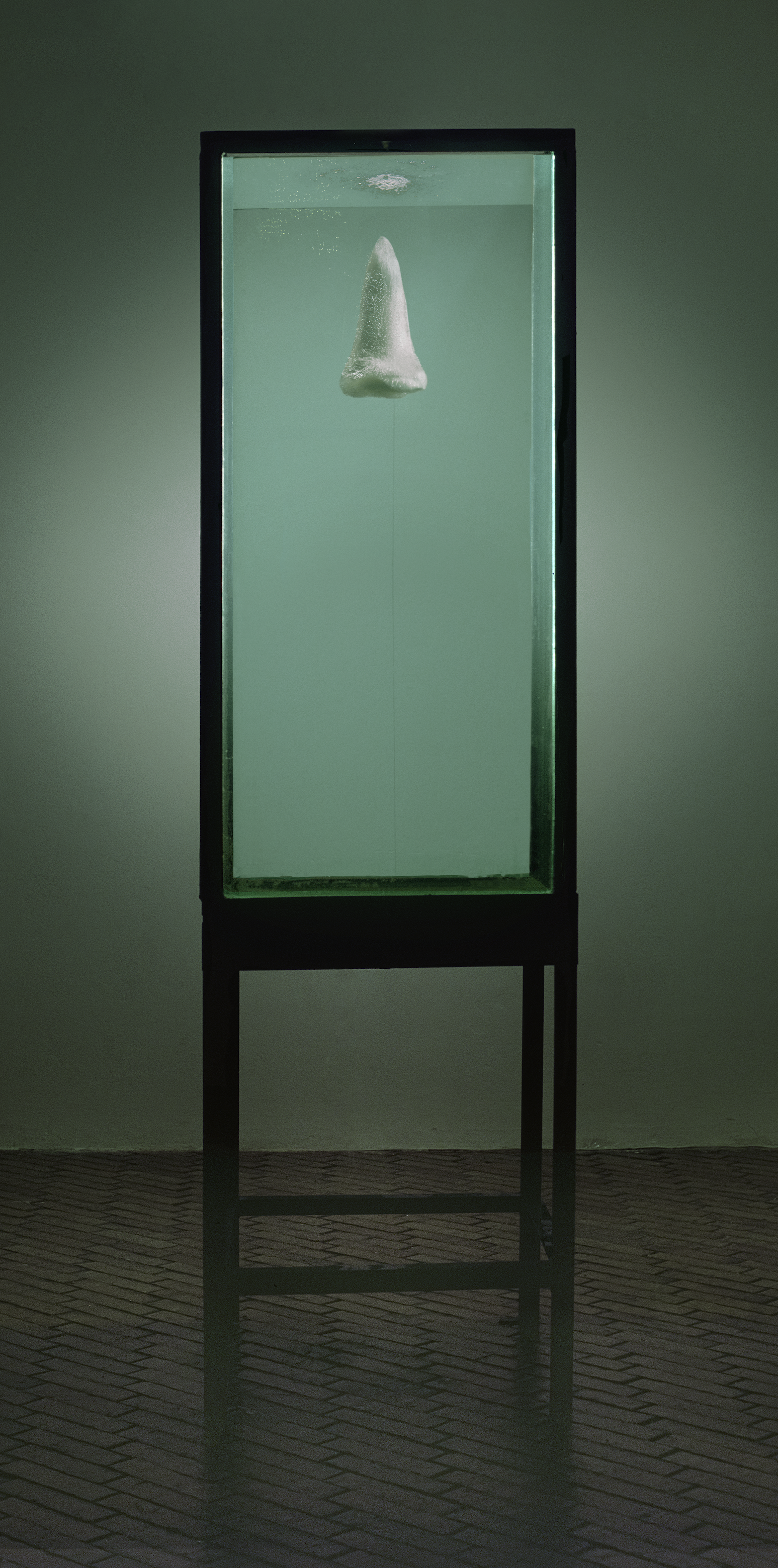 “In Memoriam”
Impresióndiugital giclée
43x110 cm c/u
2001
