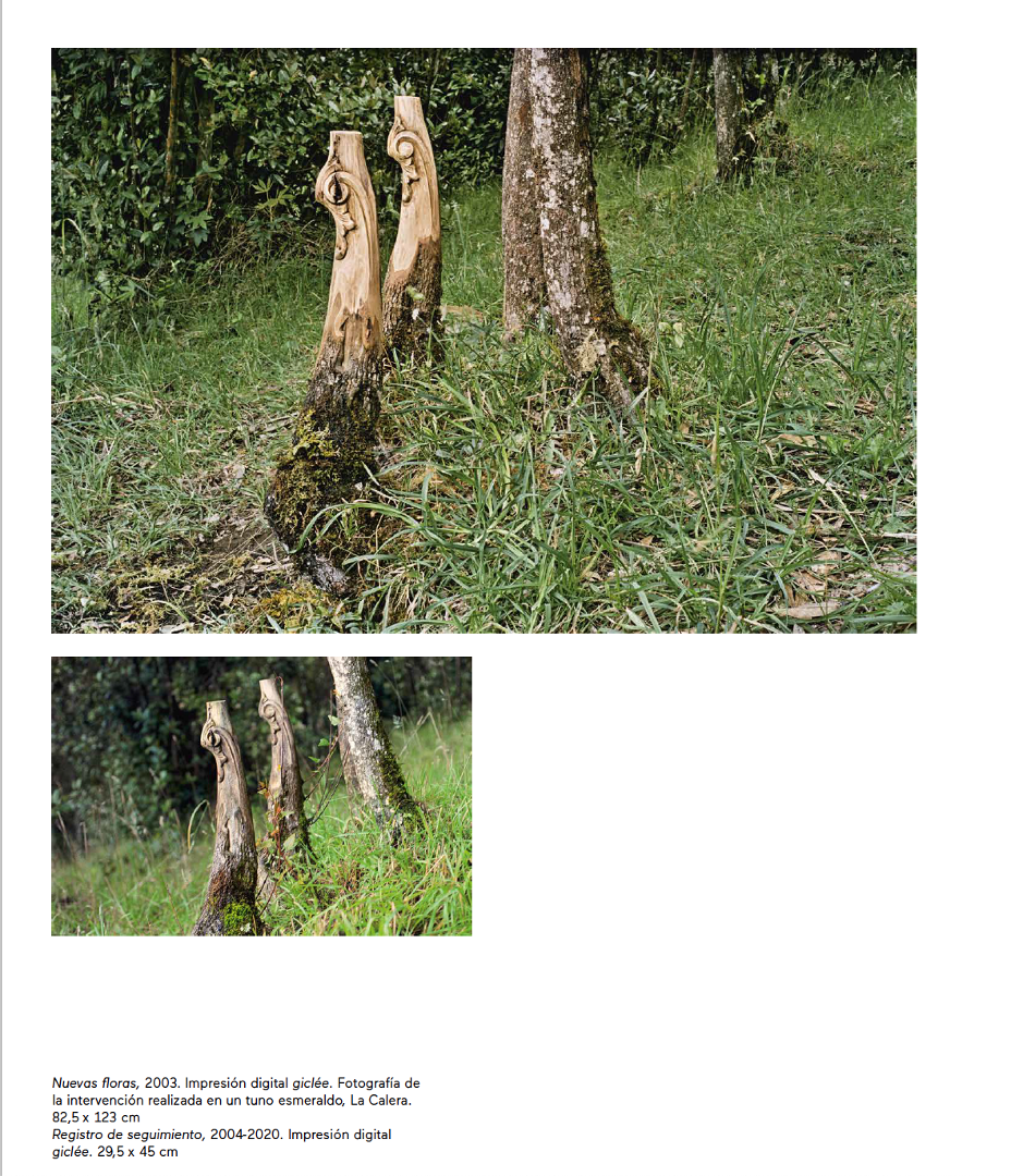Escallon - Nuevas Floras - 2020 -3.png