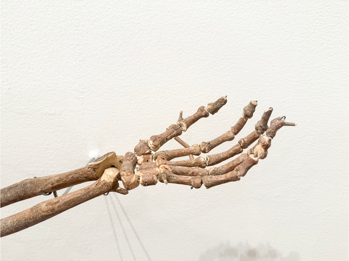 Serie "Encuentros”- Detalle
Escultura- Ramas y hojas  de Jazmín 
Exposición antológica e el Museo Miguel Urrutia, MAMU
2024-2025
