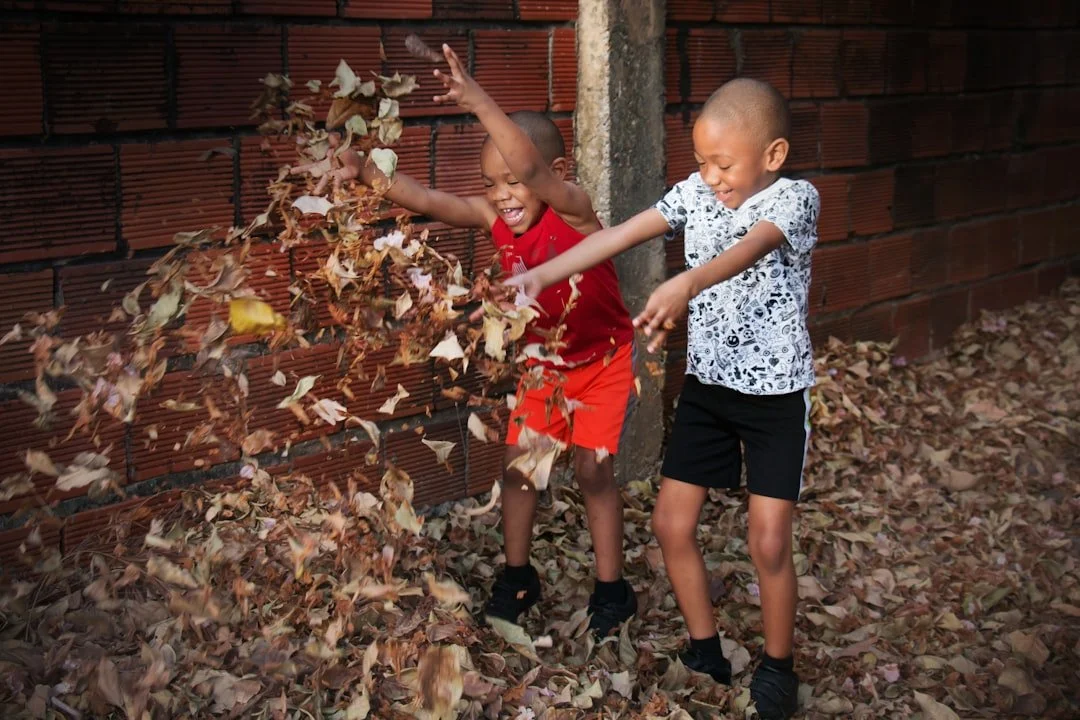 Fall Clean Up