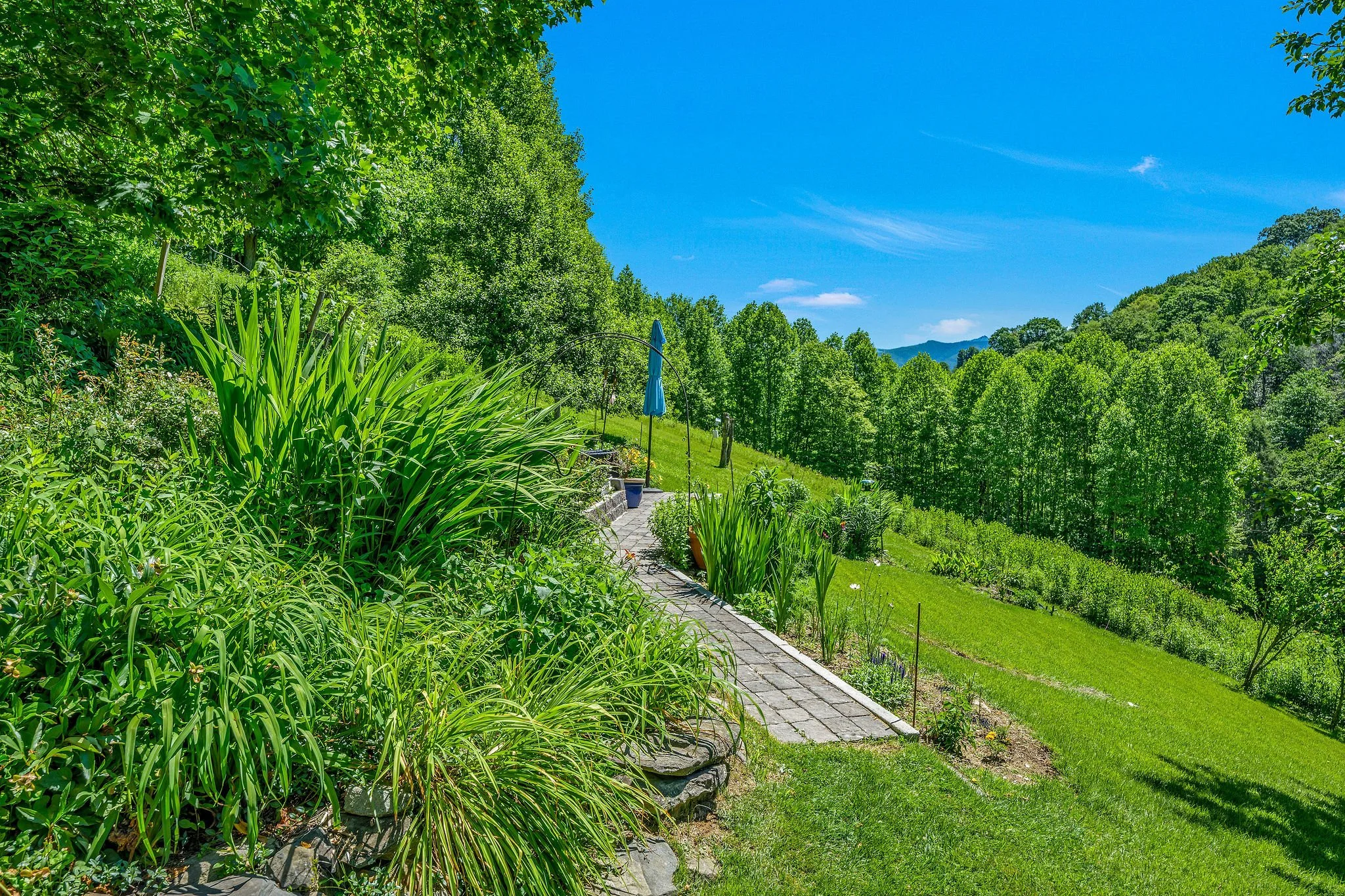 yard showing patio.JPG