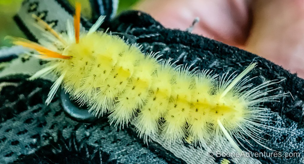 WHAT HAS BEEN HAPPENING IN THE 2025 ASHE HOME MARKET?