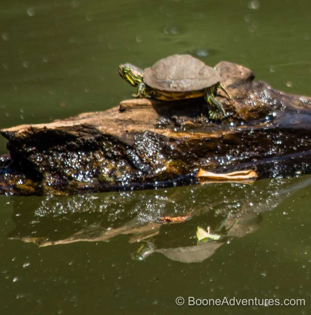 High Country Land Market January 2026