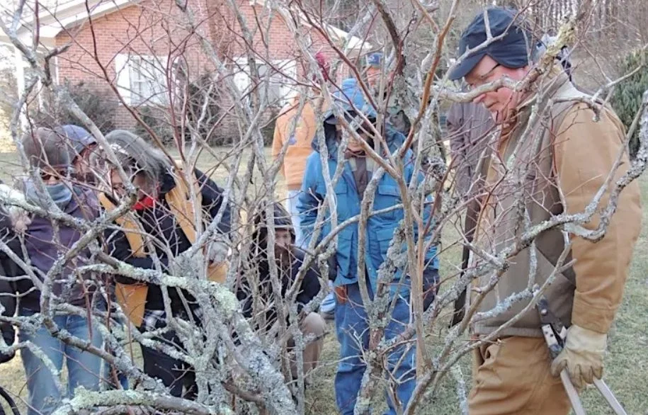Blueberry Pruning Workshop
