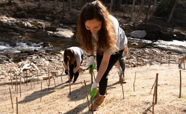 Live staking and Tree Planting Workday