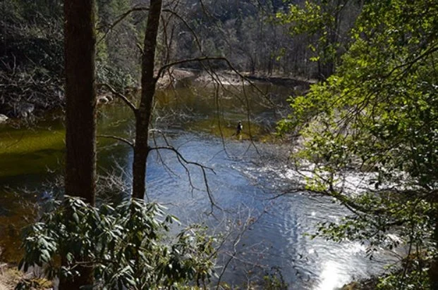 Wilson Creek Planting Event