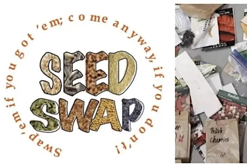 4th Annual Seed/Plant Swap