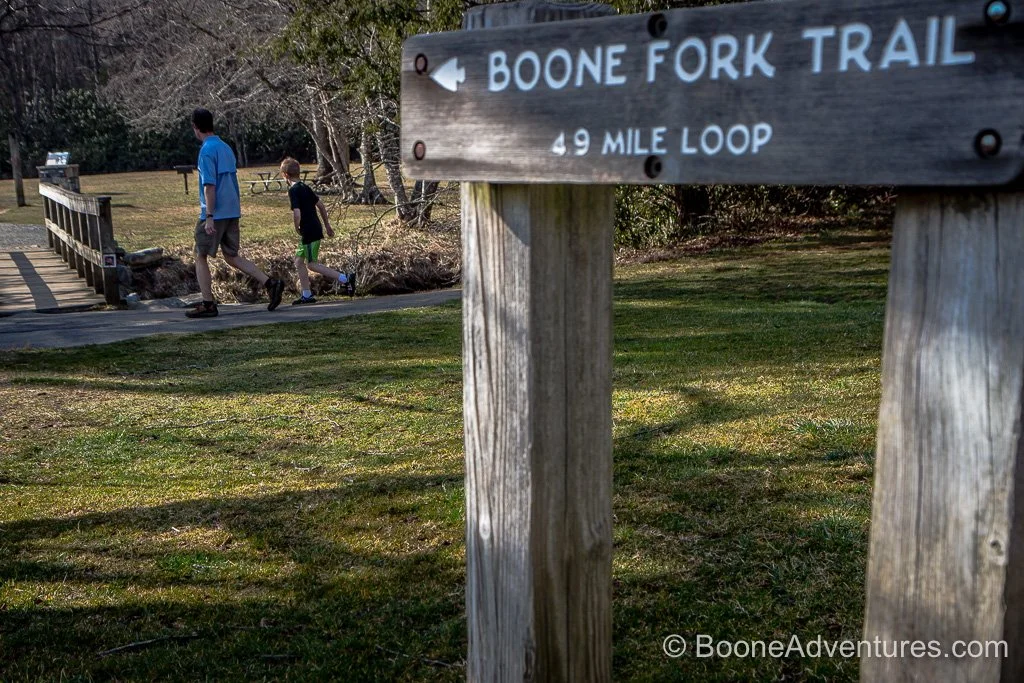 Ashe Home Market February 2026