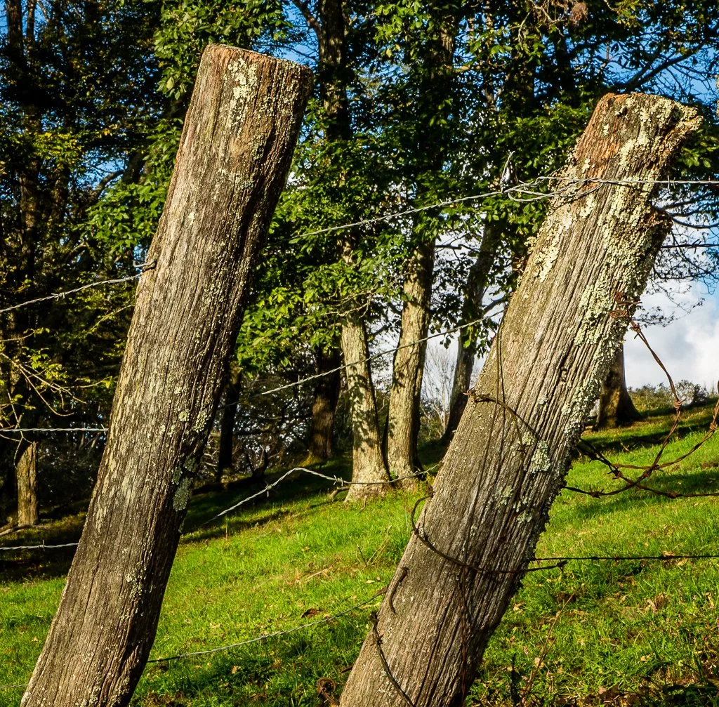 Ashe Home Market March 2026