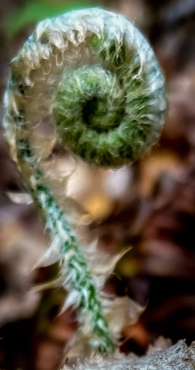 Mid-April Market Flow