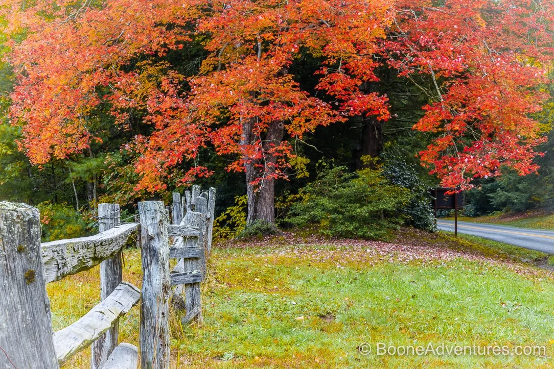 Fall Colors in the Blue Ridge Mountains