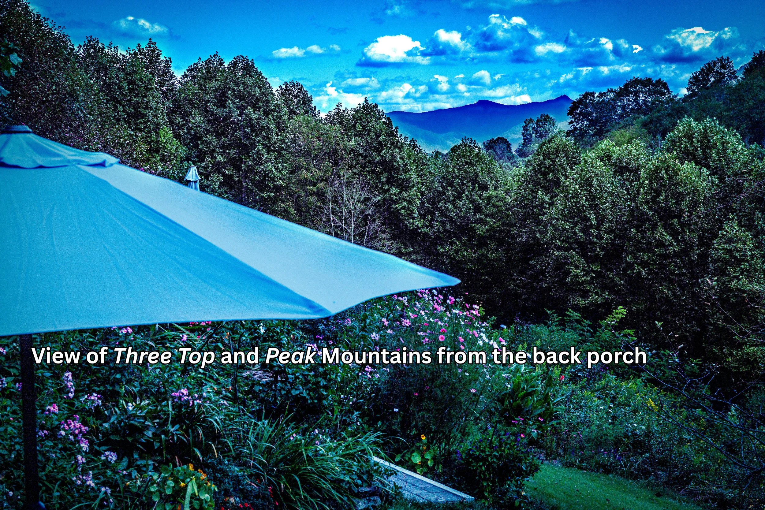 Real Estate Mountain Home Property North Carolina NC
