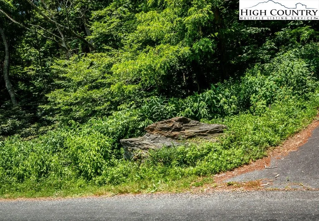 Real Estate Mountain Home Property NC