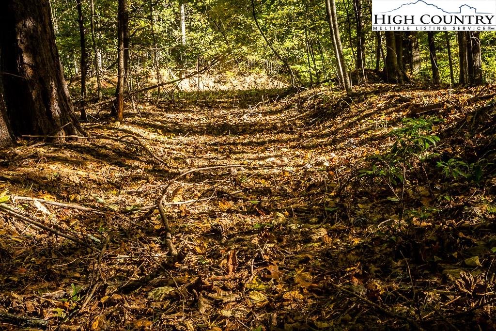 Real Estate Mountain Home Property NC