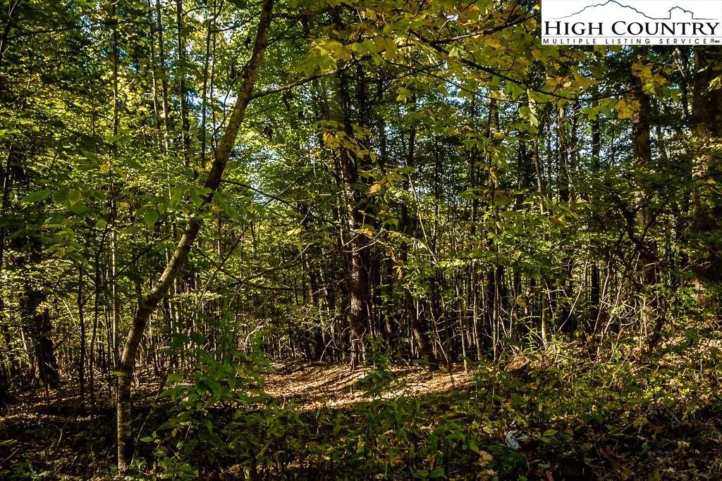 Real Estate Mountain Home Property NC