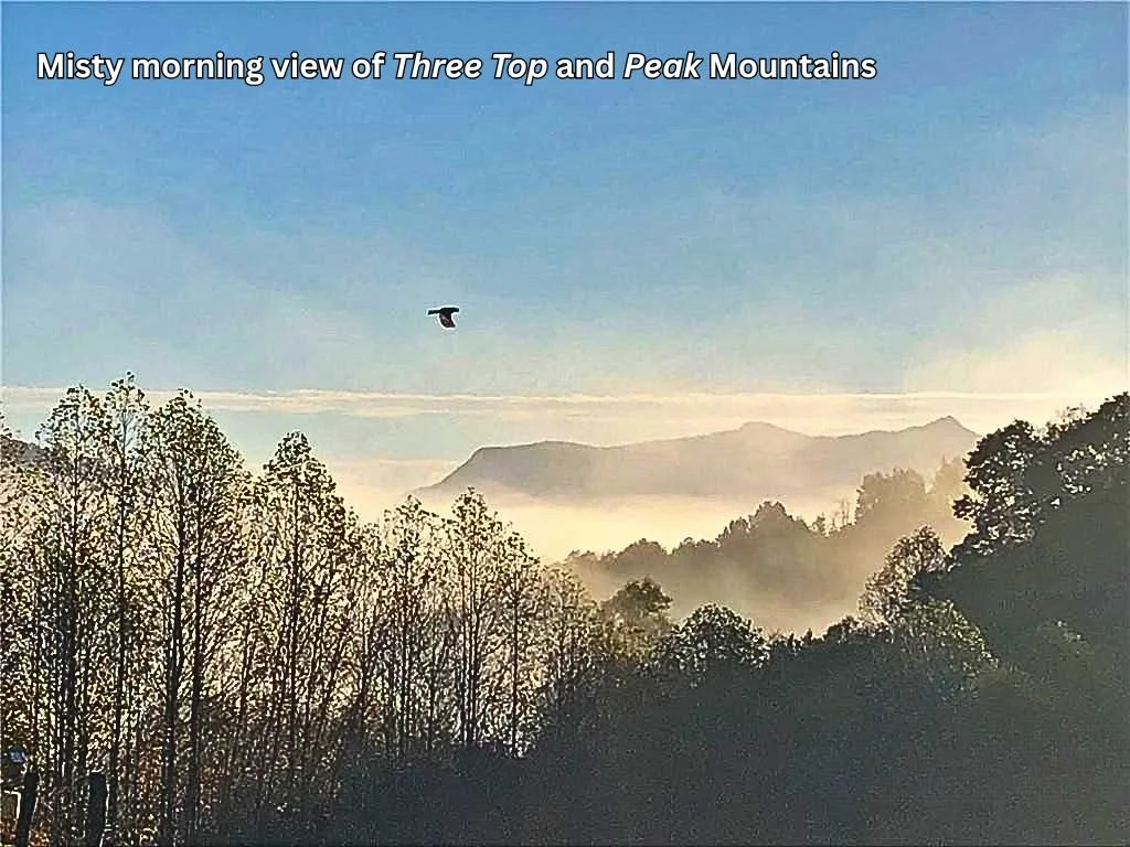 Real Estate Mountain Home Property North Carolina NC