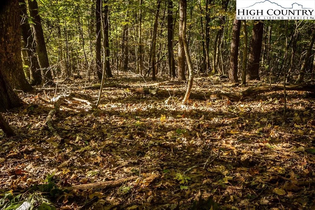 Real Estate Mountain Home Property NC