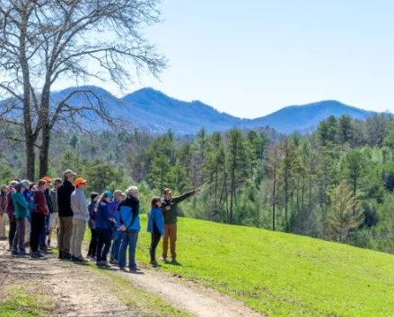 Southern Appalachian Highlands Conservancy